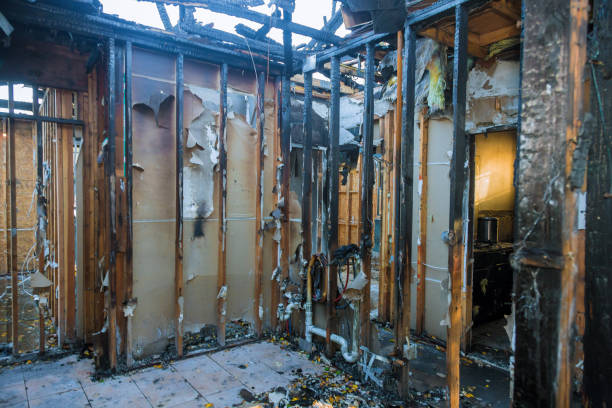 Professional Odor Removal technician working in Falls Creek, PA